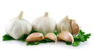 39fa6e9eb661ef48edc3e678fcb40e97